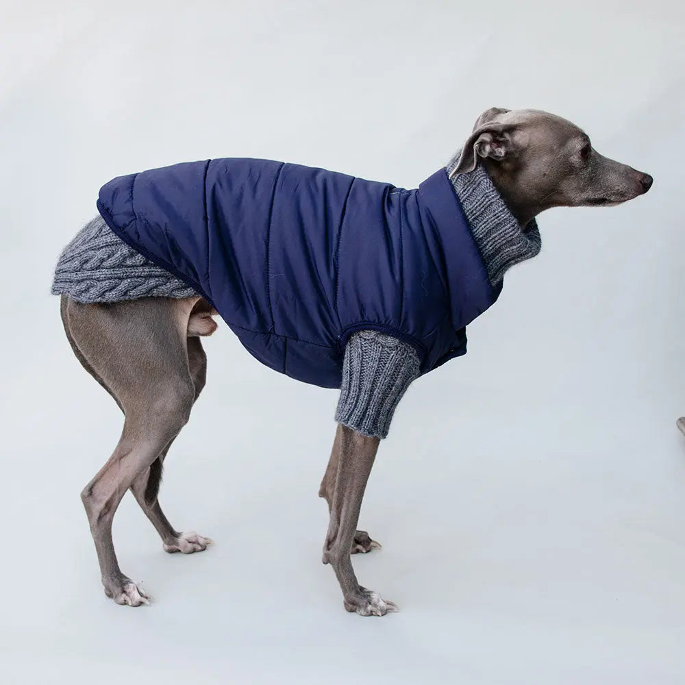 Hundemantel "Gentleman" - Marineblau 4legs.de