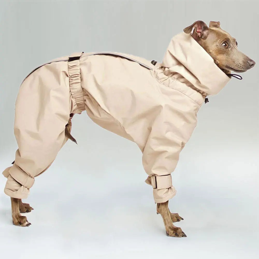 Kelly IG Snow - winter Hundeoverall - beige - SDW 4legs.de