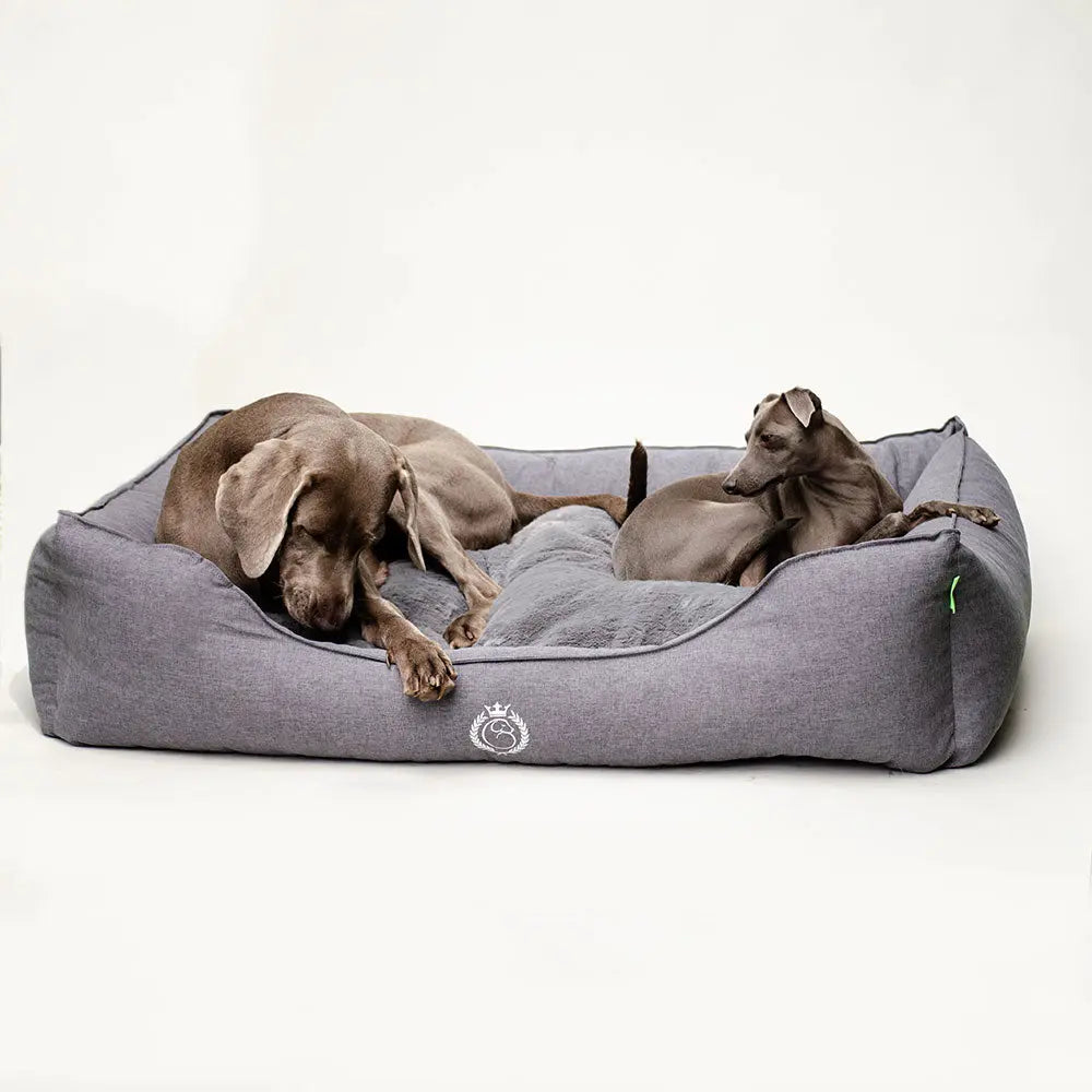 Luxus-Hundebett Canapé Graphit" 4legs.de