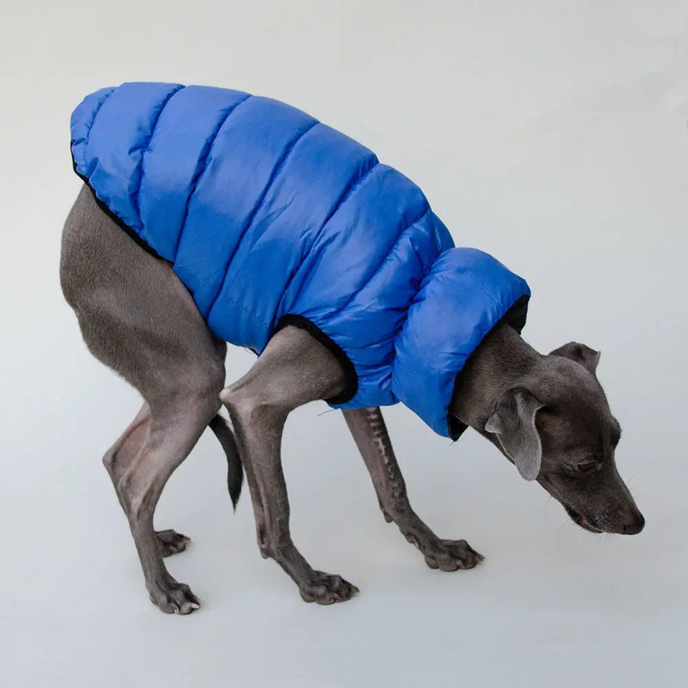 "MARINE" die superwarme Wendejacke für Hunde 4legs.de