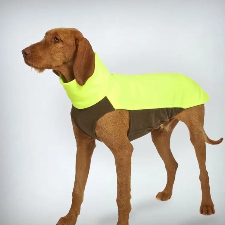 Neon Hunde Pullover - "Hachico NS-Neon" - SDW 4legs.de