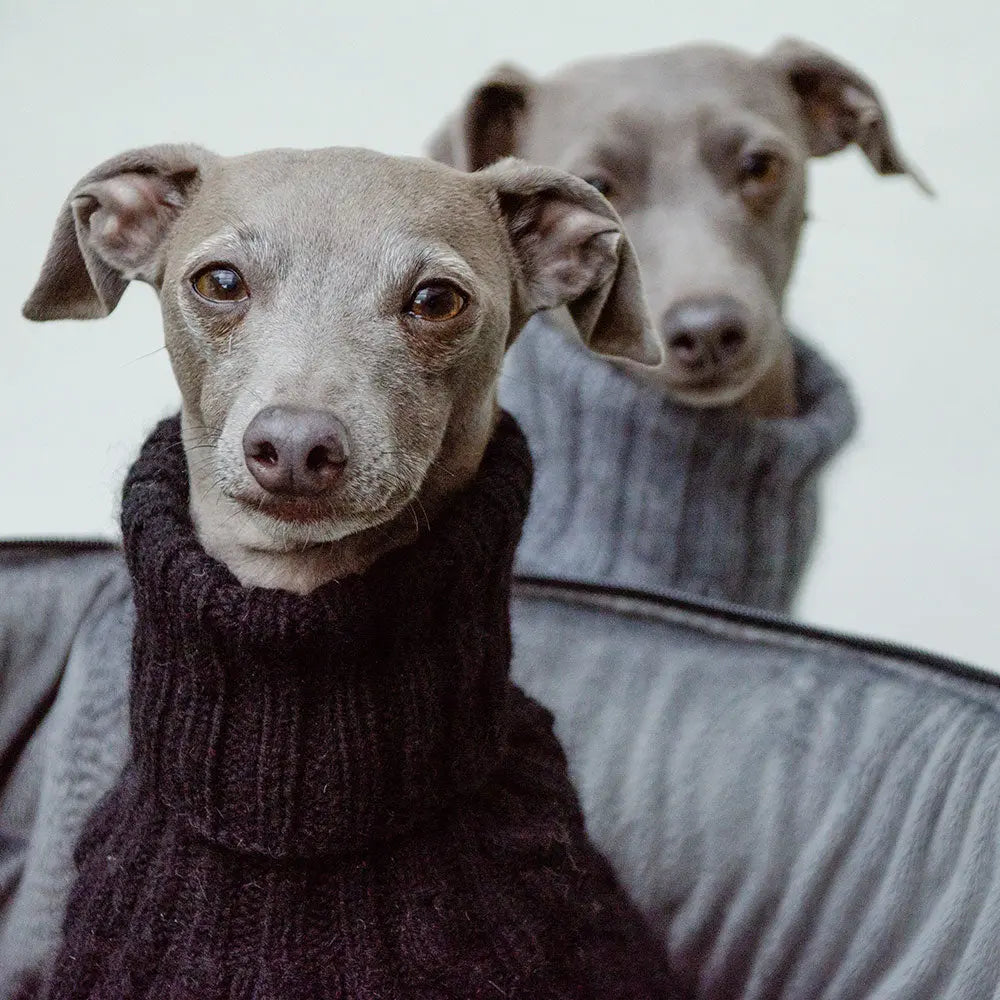 Pullover für Hunde aus 100% Kaschmir - schwarz 4legs.de