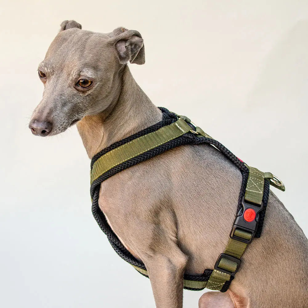 Sofa Dog Wear Sportgeschirr "Little" - olive 4legs.de