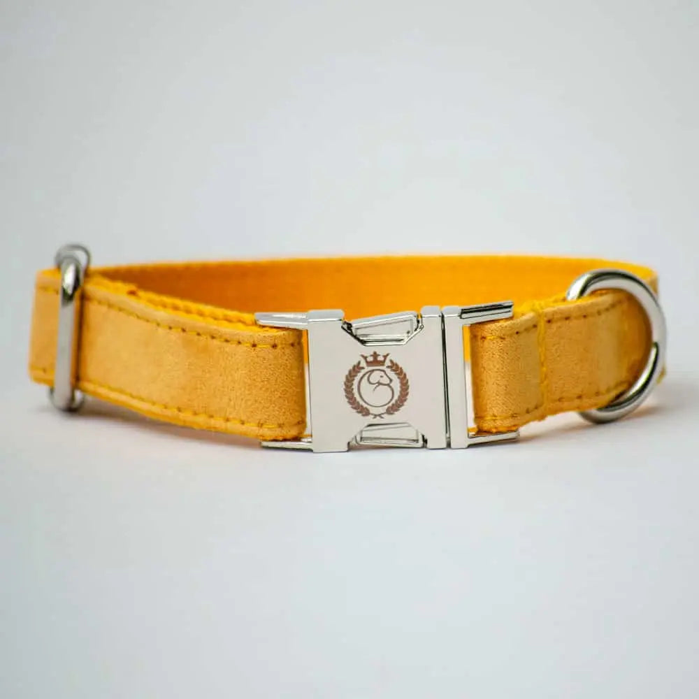 Softleder Hundehalsband „Color Up“ - Banana 4legs.de