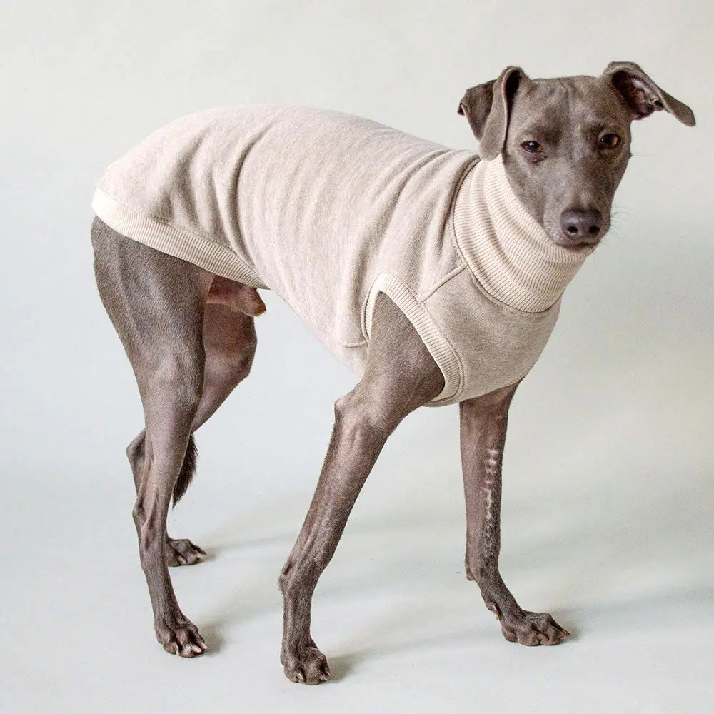 Sweatshirt für Windhunde "Lounge" - sand 4legs.de