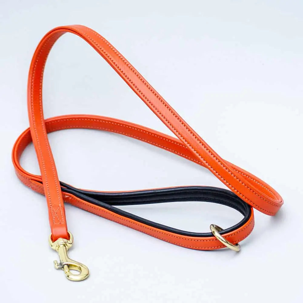 Die weich gepolsterte Lederleine in orange punktet nicht nur mit ihrer farbenfrohen Gestalt und sondern auch mit ihrem schlichten zeitlosen Design