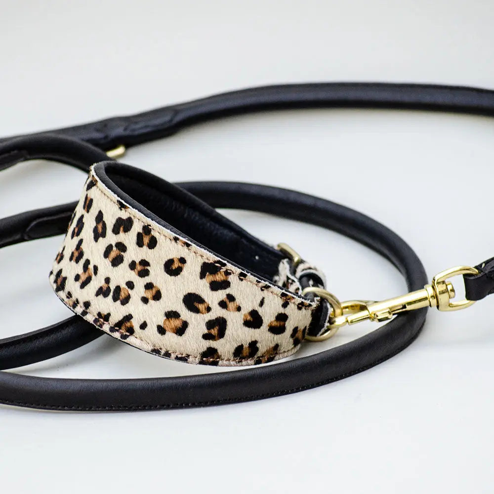 Windhund-Halsband - "Greyhound leo-print" 4legs.de