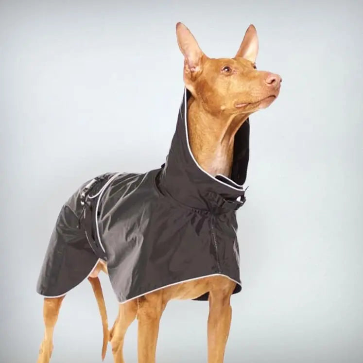 Der wärmende Regenmantel für Hunde „Zoe“ black ist ein Must-have um an kalten verregneten Tagen besonders modeaffin unterwegs zu sein!