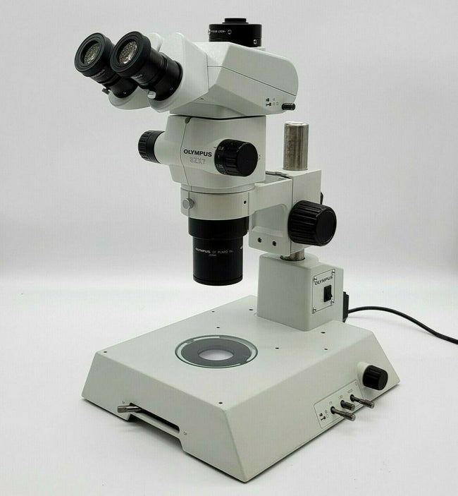 Microscope stéréo zoom Evident Olympus SZ61, pour éclairage annulaire, trino