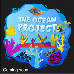 the ocean project verwood