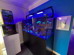 the ocean project - marine aquarium shop UK