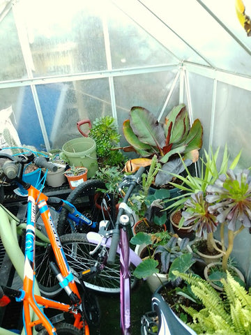 greenhouse unheated