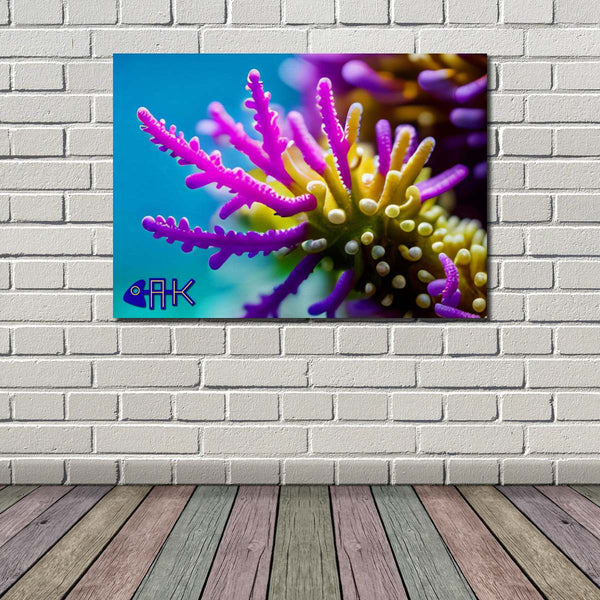 coral fantasy poster print wall art UK