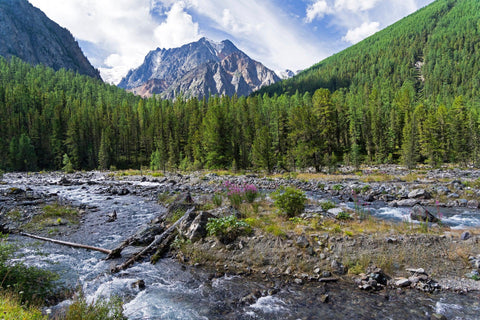 Shawla River in Siberian Taiga, Russia