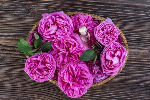 Bulgarian Rose Damascena Flowers