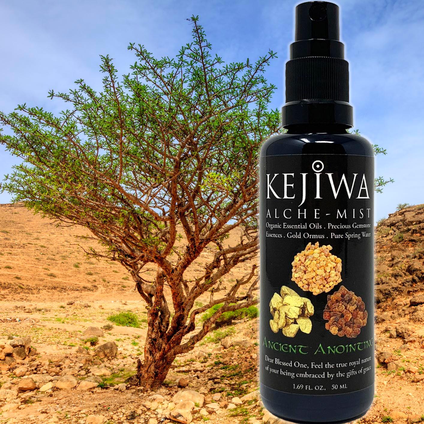 Ancient Anointing Alche-Mist - Kejiwa Alchemy product image