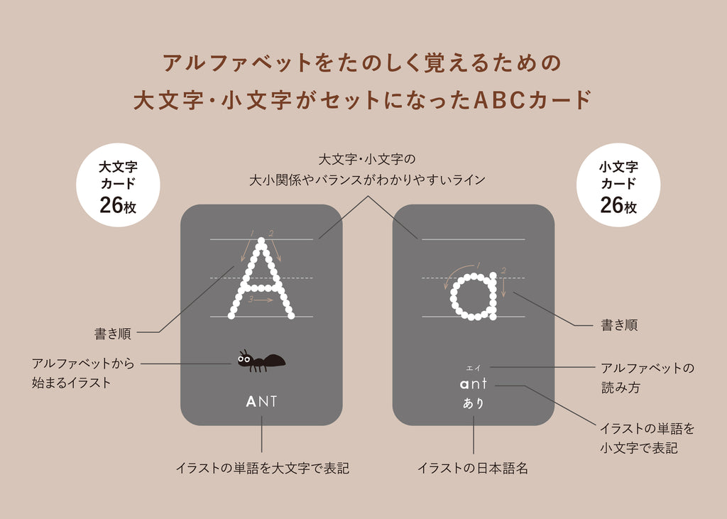 Abcカード 全52枚 おしゃれ 知育玩具 アルファベット学習 英語 Forne