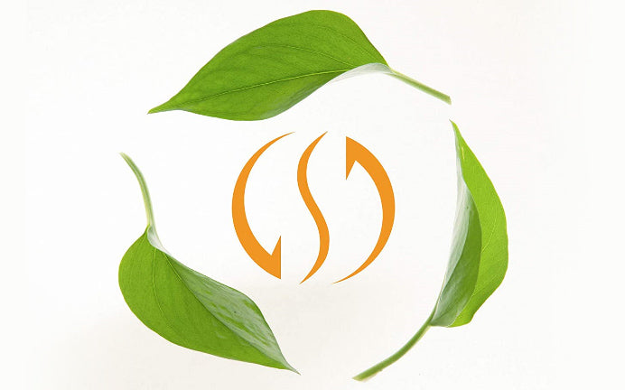 Intelligent air management logo with leaves and an orange symbol.