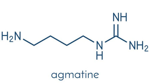 Agmatine-Structure