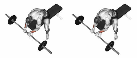 Barbell-Wrist-Extention