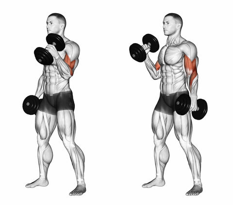 Extreme Back And Bicep Workout For Muscle Mass
