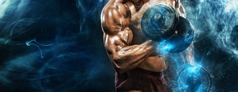 Epicatechin-for-bodybuilding