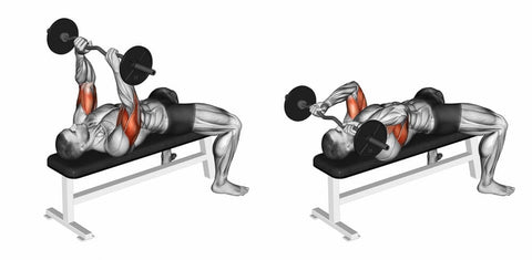 Chest and Tricep Workout For Size and Strength