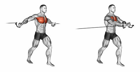 The #1 Best Chest And Triceps Workout For Muscle Mass & Strength