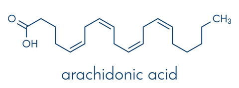 arachidonic-acid-molecule