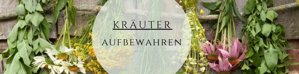 frische kräuter aufbewahren