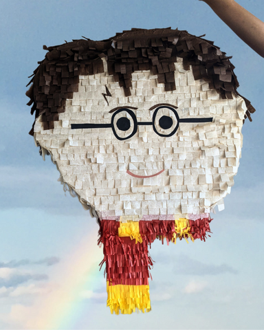 Harry Potter Head Piñata