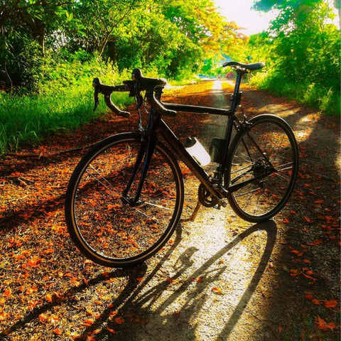 Plento dviratis juodas saule gamta