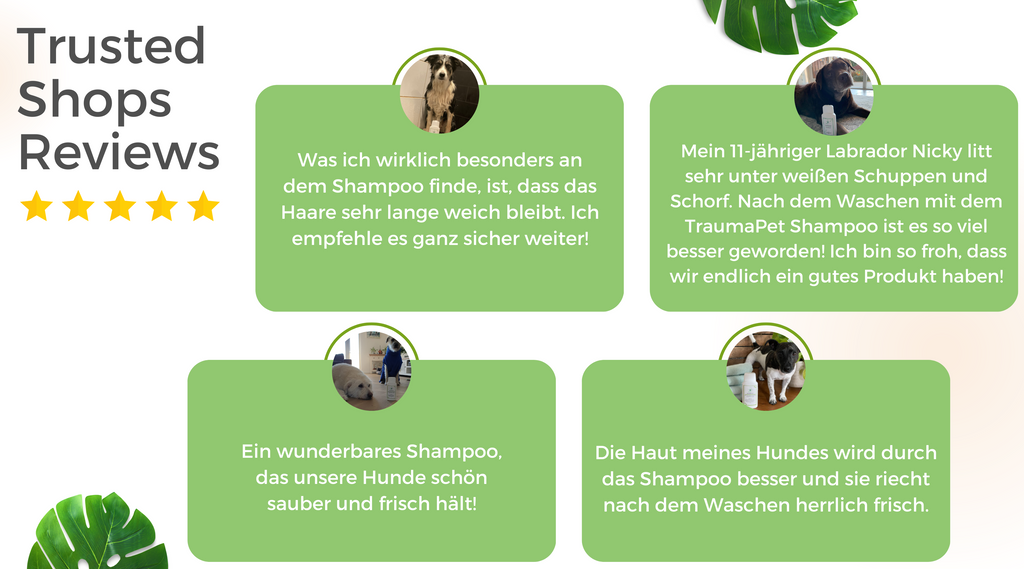 TraumaPet - Trusted Shops Reviews - Shampoo mit kolloidalem Silber und ätherischen Ölen