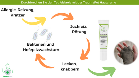 Was ist zu tun bei Beißen, Lecken oder Juckzeiz an den Pfoten?