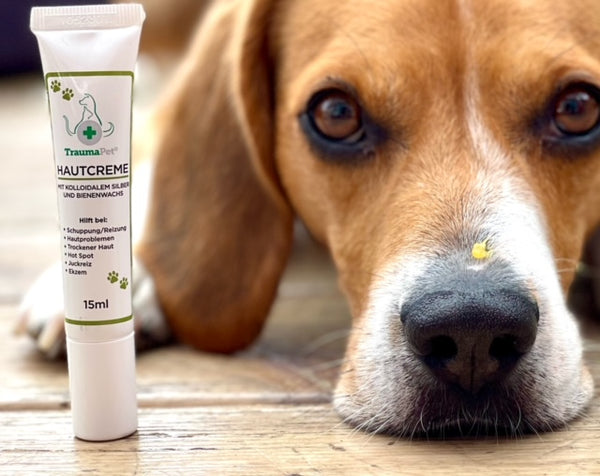 TraumaPet Hautcreme mit kolloidalem silber, Beagle