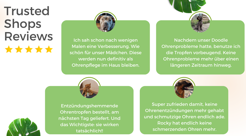 TraumaPet _ Trusted Shops Reviews _ Ohrentropfen mit kolloidalem Silber