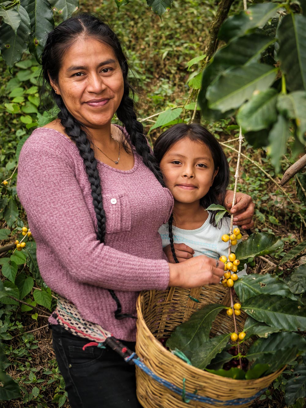 Cesmach Women Coffee Producer Chiapas Mexico Cafecita