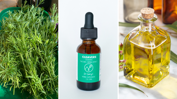 a grid of three images - the first is fresh cleavers in a harvest basket on the kitchen counter, the second is a product shot of LeeHouse Cleavers Tincture, and the third is a glass bottle filled with herbal oil of cleavers