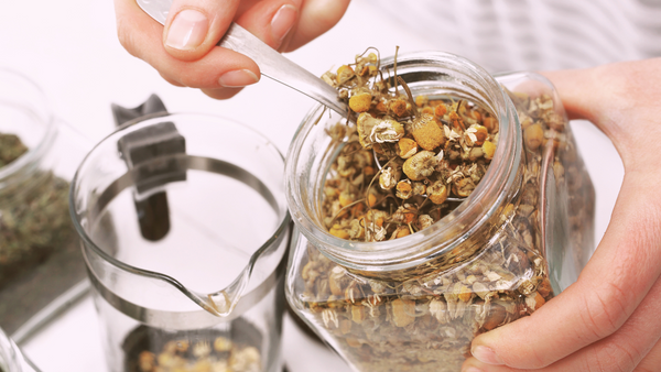 a hand holds a spoon preparing to scoop chamomile tea out of a jar, into a french press