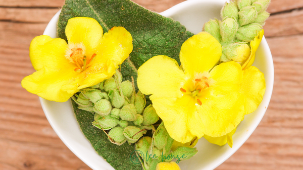 a white heart-shaped bowl sits on a wooden counter, inside the bowl is a collection of mullein leaves, flowers, and flower stalks