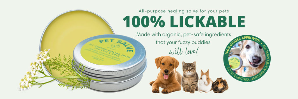 pet salve - first aid ointment for cats and dogs 100% lickable organic remedy