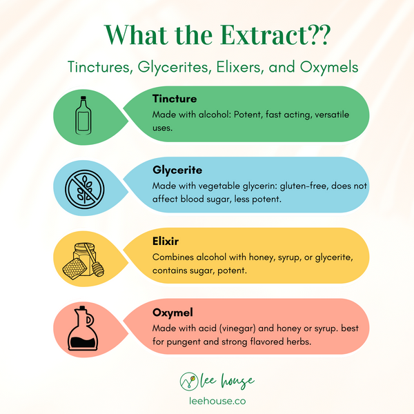 A colorful infographic titled - What the Extract? the body of the graphc reads: Tinctures: most potent, fast acting, made with alcohol. Glycerite - gentle, vegan, gluten-free, but may be less potent, made with vegetable glycerin Elixir: combines alcohol with honey, syrup, or glycerite, tastes great, contains sugar and potential allergens Oxymel: made with acid (vinegar) and honey or syrup. best for pungent and strong flavors,