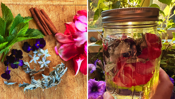 Making moonwater - frame one includes handfuls of herbs and flowers on a cutting board, frame 2 includes those herbs in a far full of water