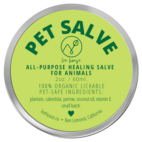 Tin of pet salve All-Purpose Healing Salve for Cats and Dogs has a light green ;abel with dark green text