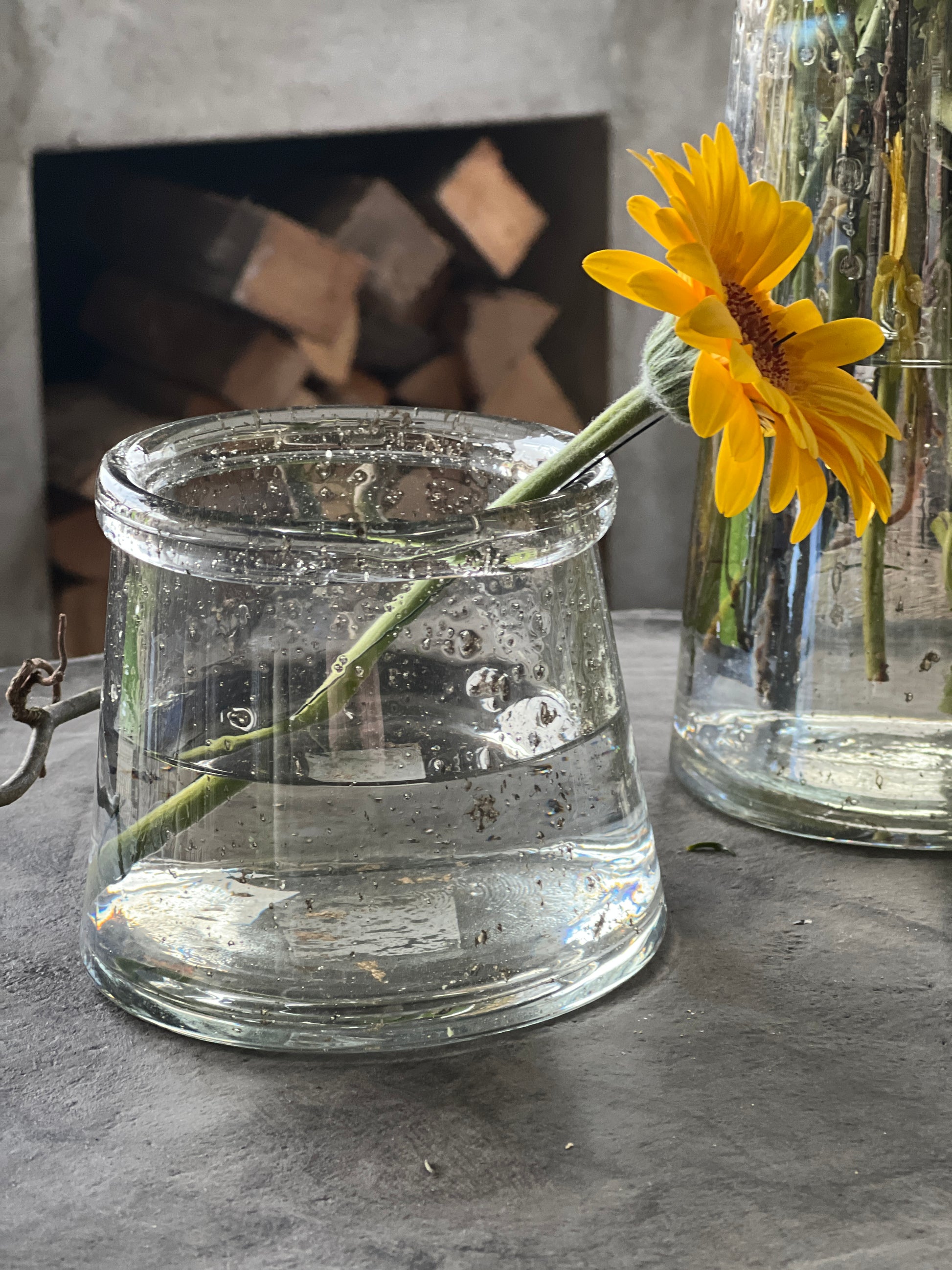 Tegenstander methodologie het doel Mini vaas transparant glas met metaal schilfers – Landelijkhuisje