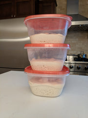 Balled pizza dough in air tight containers
