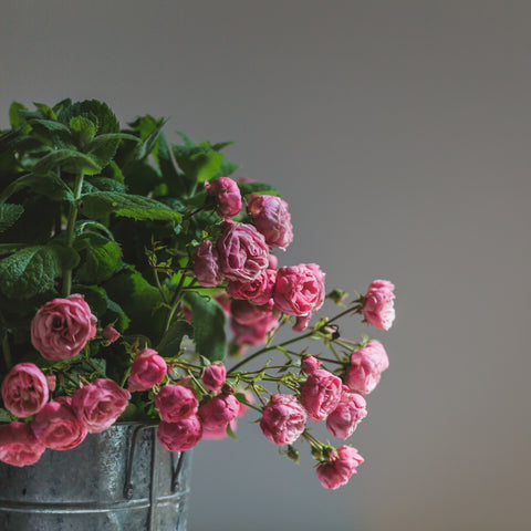 Valentine’s Day Rose flower bouquet