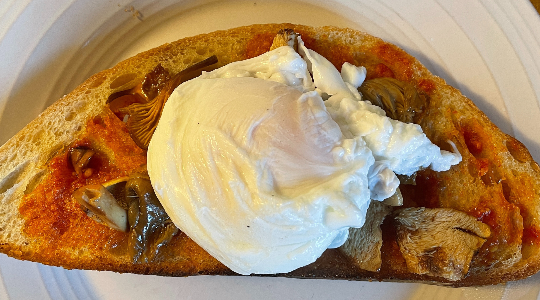 Savory wild mushroom and tomato butter toast with a poached egg