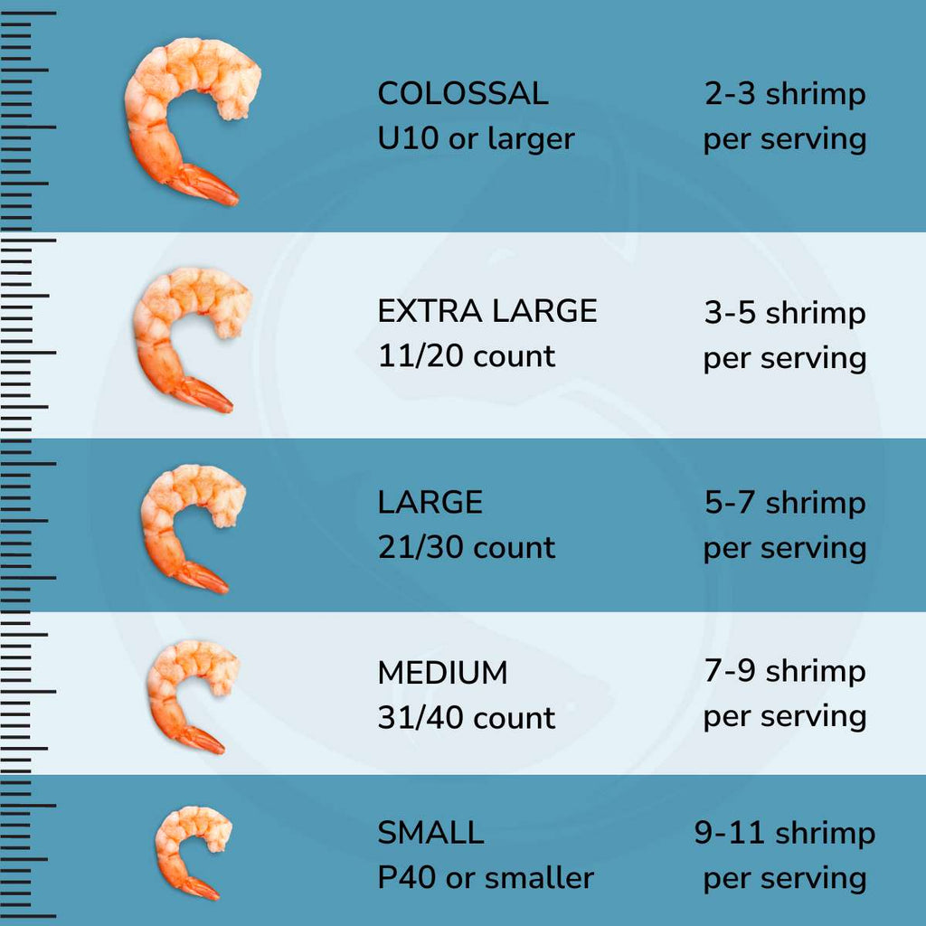 Sealand shrimp sizing infographic