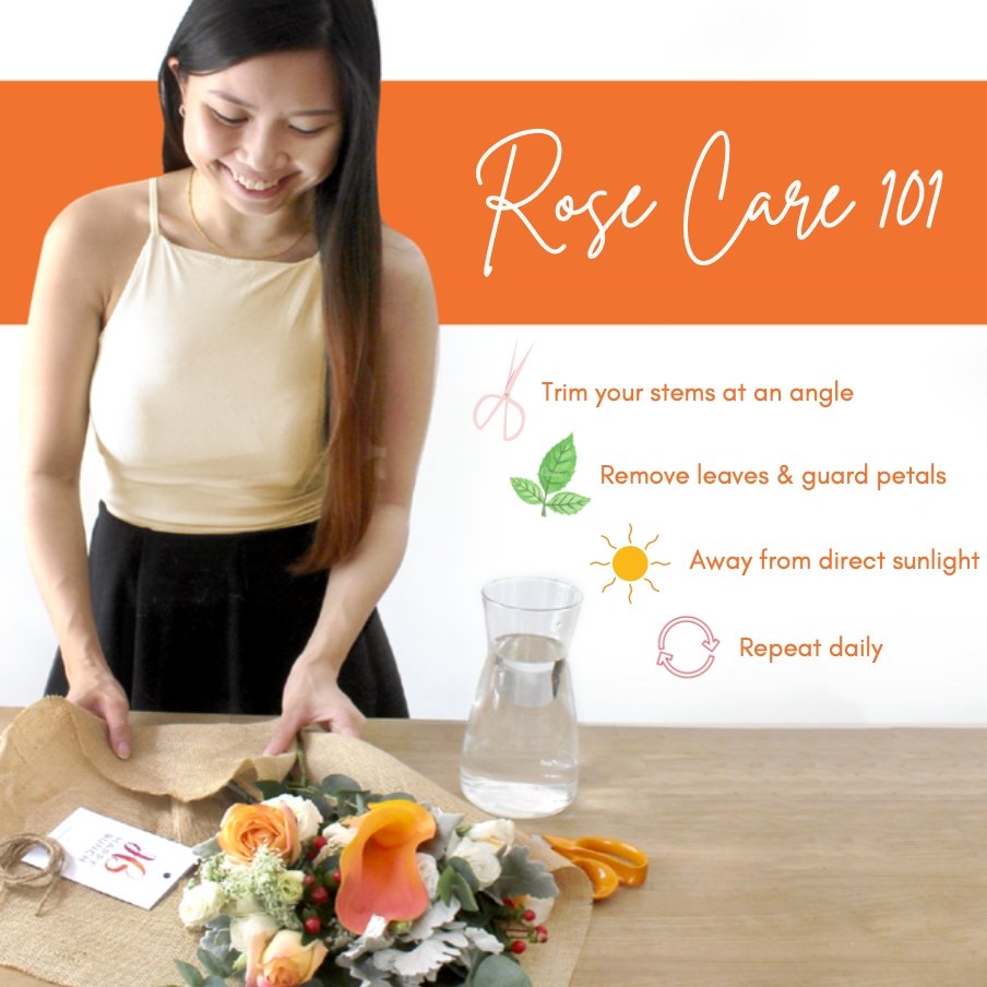 A Rose Flower Bouquet for Every Occasion rose care